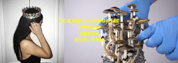 mdpv Сатка