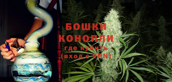 сатива Горнозаводск