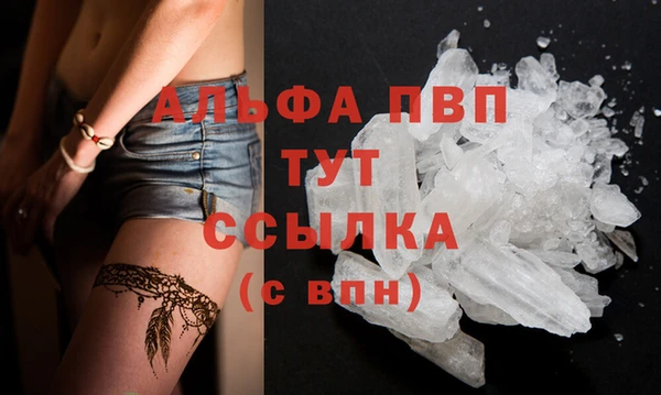 сатива Горнозаводск