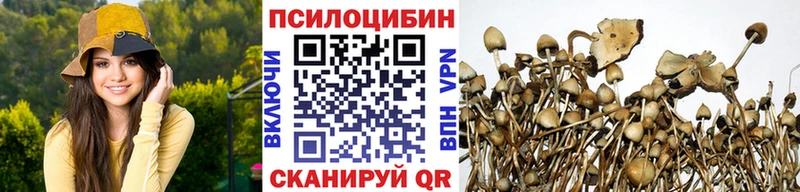 Псилоцибиновые грибы Psilocybine cubensis Гусиноозёрск