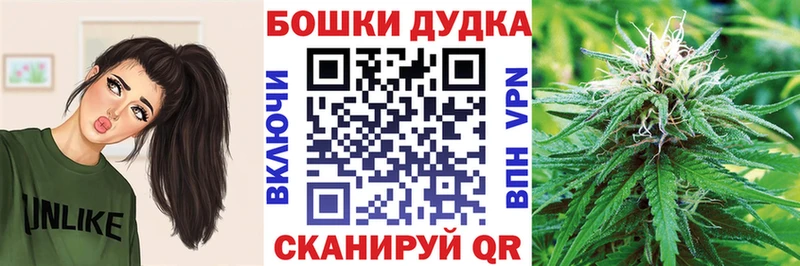 наркотики  Гусиноозёрск  Шишки марихуана сатива 